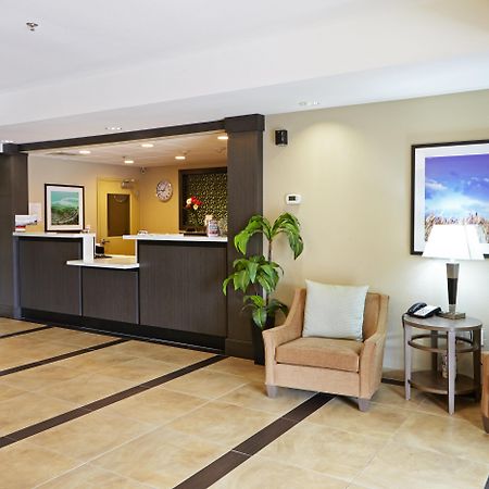 Candlewood Suites San Antonio Airport By Ihg Esterno foto